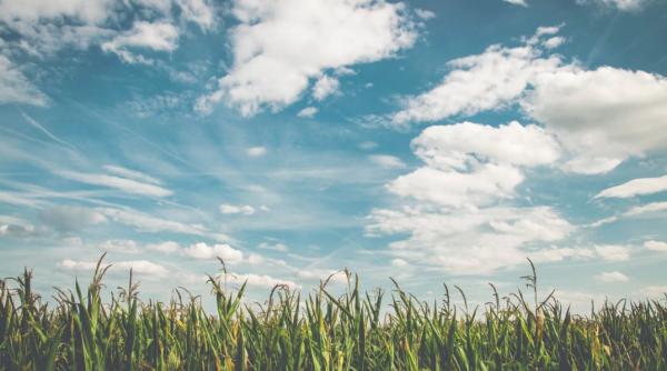 prognoza meteo pe 4 saptamani ce urmeaza pana pe 24 august 2020