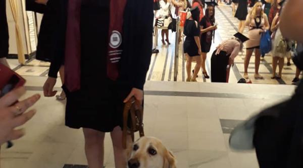 interzis in romania ce faci cand nu vezi diana din cluj imi e indispensabil ii rog pe oameni sa inteleaga un lucru