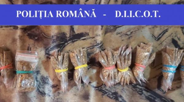 perchezitii la traficantii de droguri 15 persoane retinute