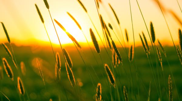 temperaturi extreme in romania mateescu anm ce asteapta saptamana viitoare