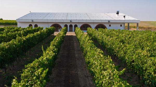 vin romanesc produs in regiunea dobrogei protejat de uniunea europeana
