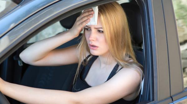 canicula  pericol nevazut in trafic  titi aur  se poate ajunge la accidente  chiar la deces