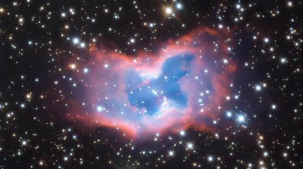 fluturele spatial fotografiat pentru prima data