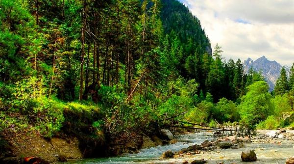 misterul unui barbat gasit in padure politia l a crezut mort timp de 5 ani