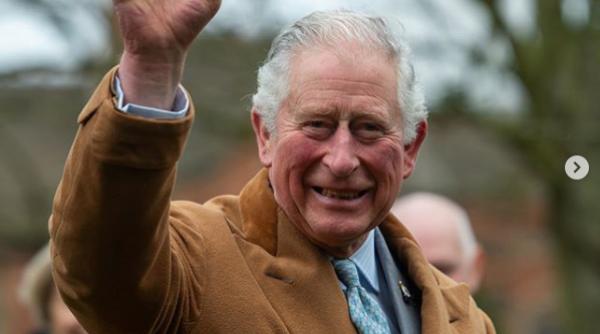 printul charles impiedicat de o vaca in romania cum s au luptat agentii de paza cu ea au cazut moment haios