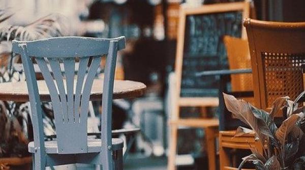 corina martin cere revocarea deciziei de inchidere a teraselor la ora 23 00