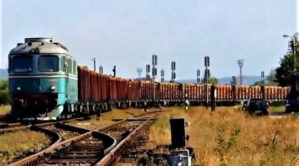 tren incarcat cu lemne  oprit de garda forestiera