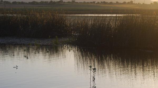 ce a aparut intr un lac din vaslui dupa ce a scazut apa oamenii au ramas blocati