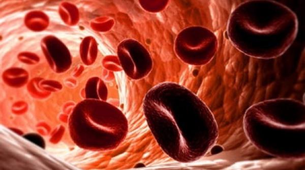 covid 19 poate impiedica organismul sa lupte impotriva infectiei  studiu nou