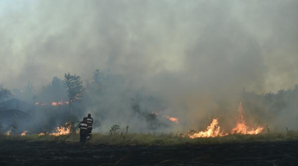 incediu de vegetatie langa bucuresti ard 10 hectare