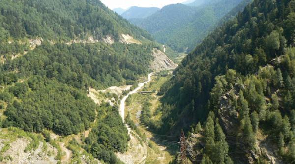 masivul retezat decizie in dosarul retrocedarii a 10 000 de hectare