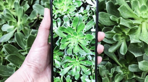 google face un pas urias pentru persoanele cu deficiente de vedere