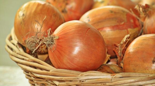 cum se pastreaza corect ceapa asa nu se va mai strica