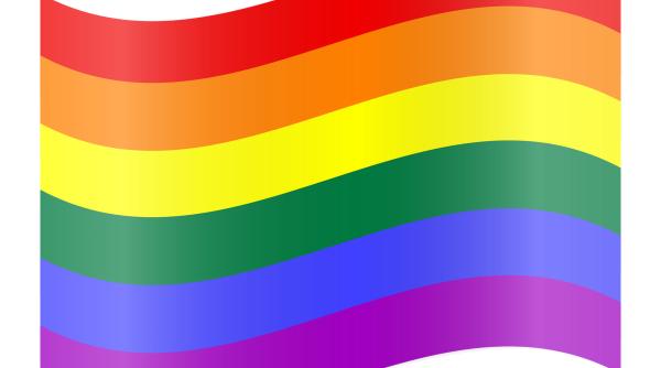 lgbt vs polonia vedetele sustin miscarea progresista si se adreseaza comisiei europene