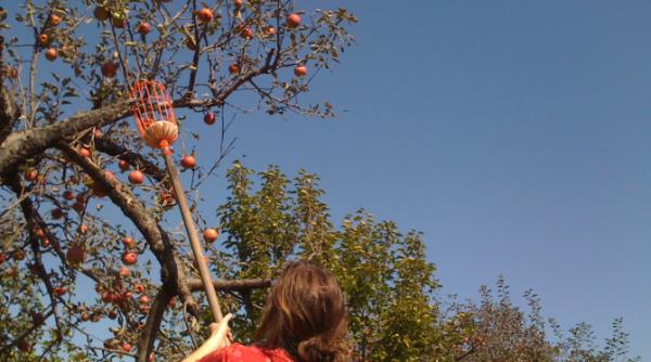 patronii elvetieni angajam romani de 20 de ani acum situatia s a schimbat