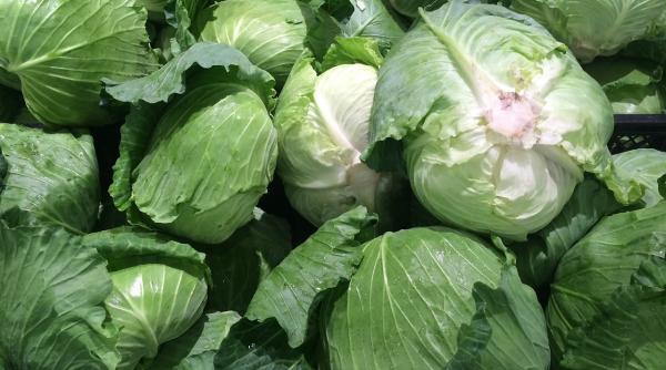 cum se pastreaza varza proaspata gospodinele adevarate trebuie sa stie