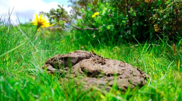 expertii trag un semnal de alarma despre un leac nu faceti asta