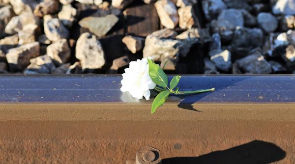 un copil a murit dupa ce a fost impins in fata trenului criminalul si a cerut scuze apoi