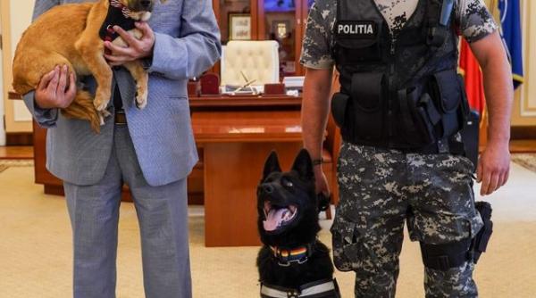 mai le cere romanilor sa se implice pentru politia animalelor