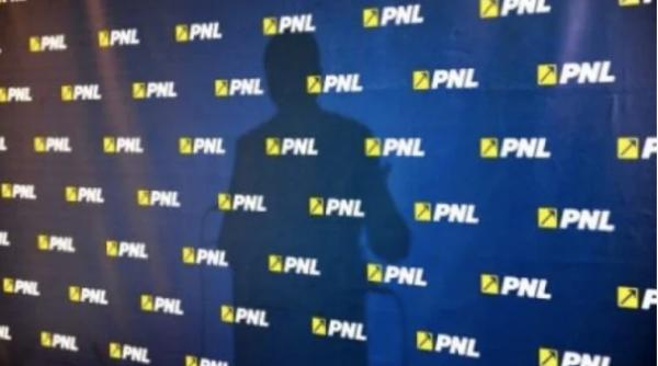 strategia pnl inainte de alegeri una spune alta face