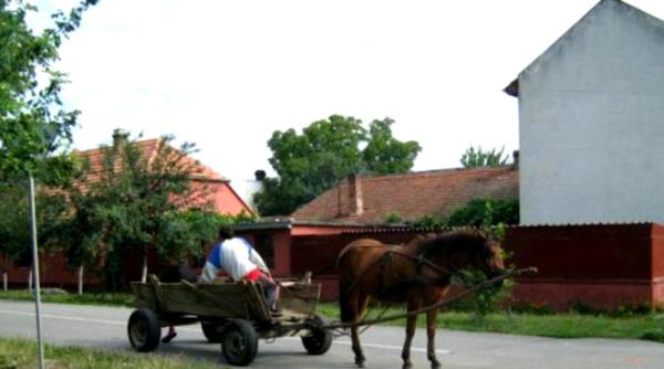 copil de 6 ani mort dupa ce o caruta a cazut peste el in dambovita