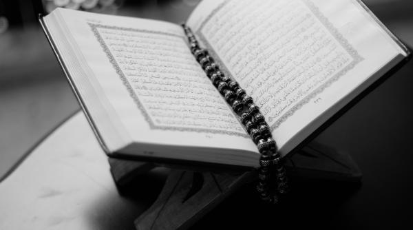 violente in suedia persoane retinute dupa ce au ars coranul