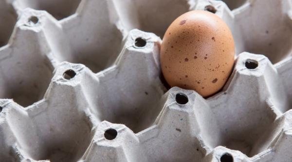 cat timp poti pastra ouale crude sau fierte in functie de modul de depozitare