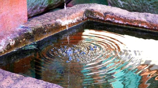 inima unui primar a stat mai bine de un secol intr o fantana din oras