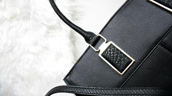 geanta de 16 000 euro distrusa de oamenii de la mediu motivul stupid