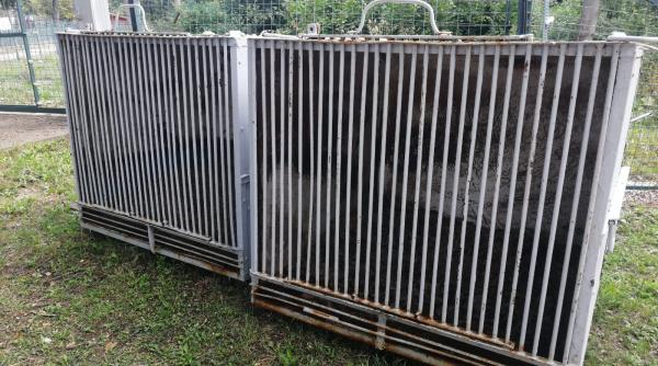 va vine sa credeti cine a trait aici le am pastrat pentru a vedea lumea cum au stat imagini dureroase