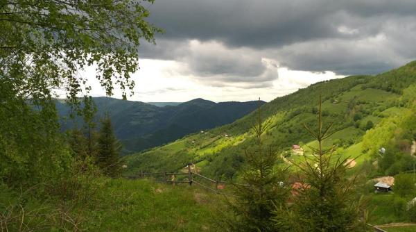 turisti rataciti pe munte intr o zona plina de ursi au intervenit jandarmii