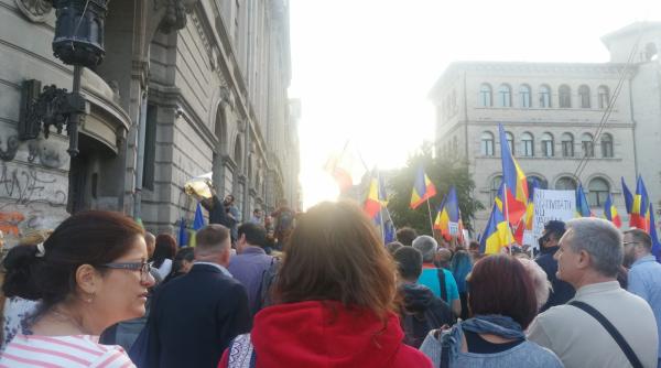 protest anti botnita cine e femeia care a electrizat multimea actiunea care a starnit ropote de aplauze video