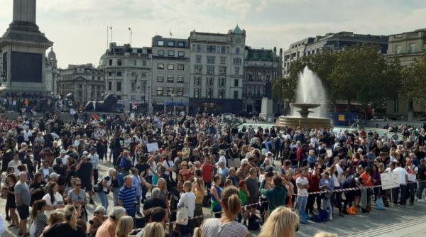 decizie controversata la madrid in contextul covid 19 opera a fost inchisa