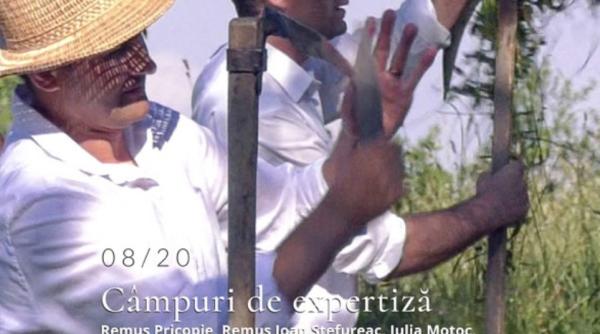 latina bat o vina si primele alegeri pandemice