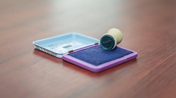 nebunie la alegeri curg acuzatiile grave de frauda la vot stampile predate cu tus pe ele s a votat deja