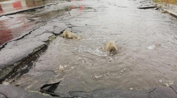 vremea extrema face prapad  drum surpat de ape  gospodarii inundate  pompierii intervin