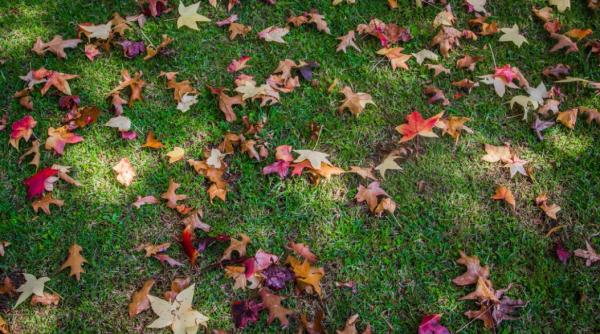 vremea in urmatoarele saptamani prognoza meteo pe regiuni