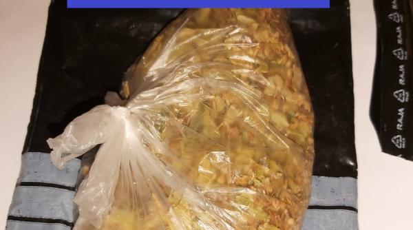 perchezitii de amploare in alba principalul furnizor de cannabis retinut