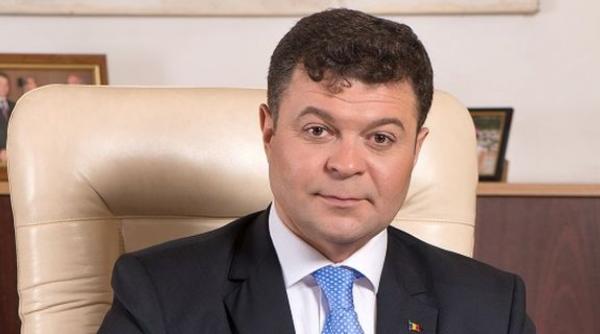 marilen pirtea program de investitii prioritare pentru dezvoltarea universitatilor romanesti de top