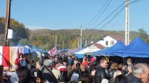 primaria fieni decizie privind organizarea targului de sf dumitru