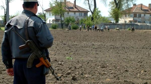 anp decizie referitoare la munca detinutilor