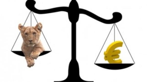 cati lei costa azi 1 euro curs valutar 9 octombrie 2020