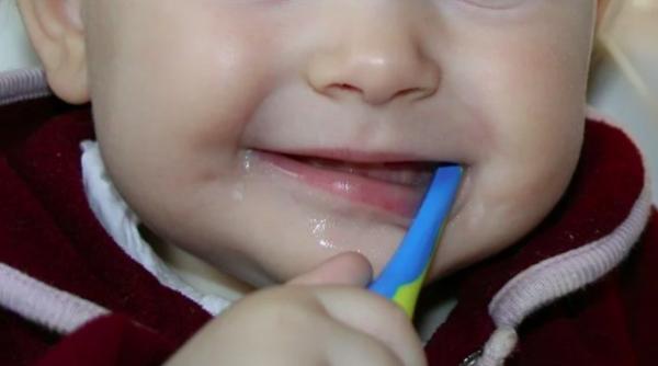 maseaua de minte pe cale de disparitie cea mai rapida evolutie din ultimii 250 de ani