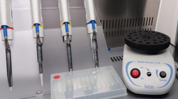 veste uriasa in razboiul covid ungaria a gasit solutia test pcr cu rezultat in 2 ore