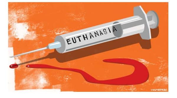 olanda vrea legalizarea eutanasierii pentru copii