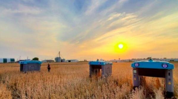 robotii inspectori sunt viitorul agriculturii compania mama a google revolutioneaza industria