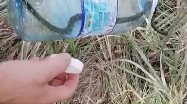 s au trezit cu un sarpe in fata blocului locatarii au sunat la 112