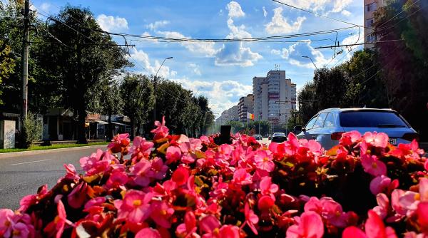 sectorul 4 mai verde ca niciodata