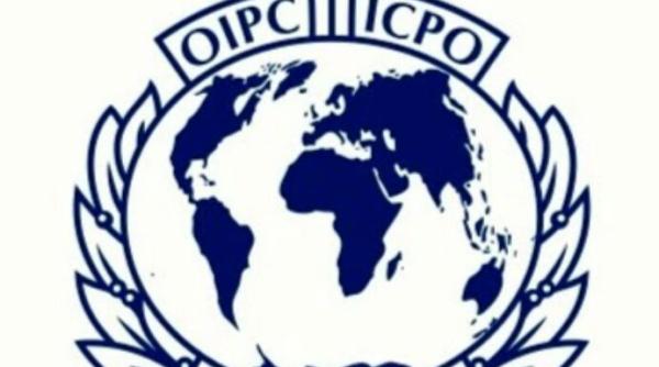 captura importanta pentru interpol un principal traficant de carne vie retinut