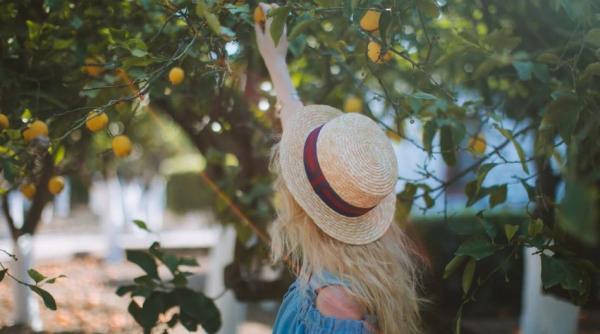 este curva dar nu si lider